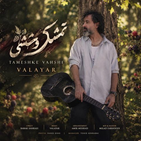 دانلود آهنگ والایار تمشک وحشی